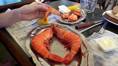 Dang Nab It! Dem’s Huge!