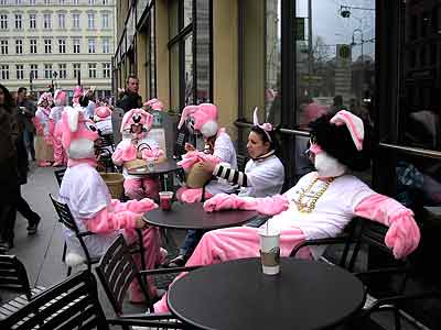 Who knew bunnies like coffee?