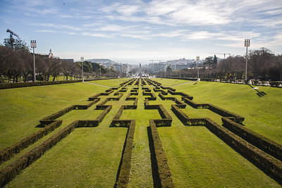 hedges arranged in a pattern at Parque Eduardo VII