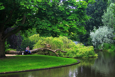 person sitting on fallen tree in a park
