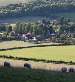 A quintessential countryside scene.