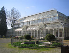 The 19th-century greenhouse