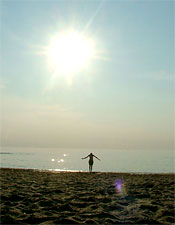 Seaside at Zandvoort beach in Amsterdam