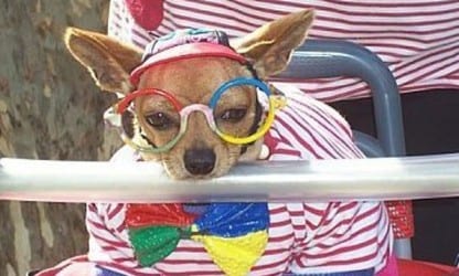 Check out my snazzy new blog.