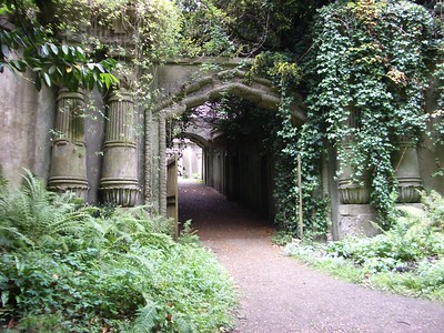 large arched entry way covered in ivy