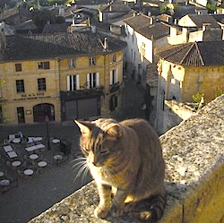 St. Emilion, France