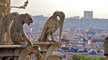 View from the Towers of Notre Dame