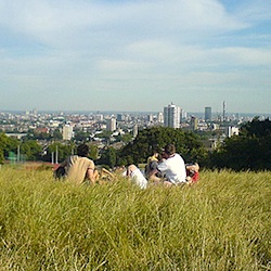 Hampstead Heath view