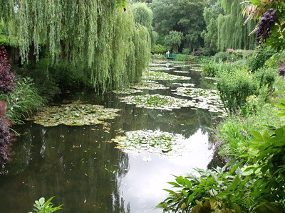 Monet water lilies garden