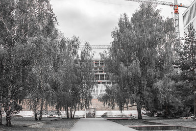 trees in Moabit Prison Historical Park
