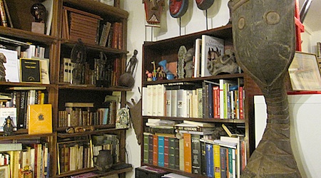 shelves of books