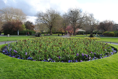 flowers arranged in circle at Iveagh Gardens