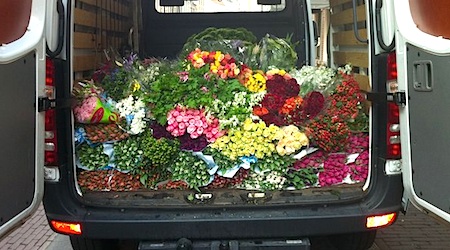 tulips loaded into back of white van