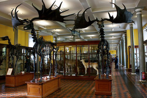 Natural History Museum