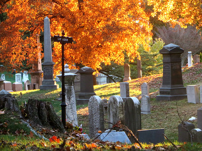 graves and trees with orange leaves in a cemetery