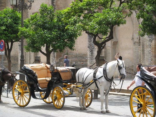 horse-drawn carriage in Seville