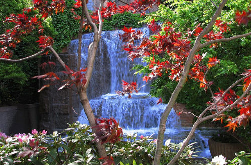 A waterfall in Midtown? Welcome to Greenacre Park. Photo: Randy Levine