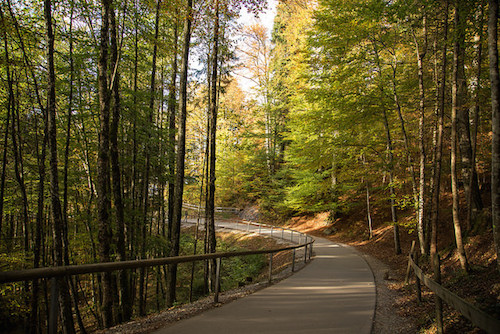 Learn about the Mad King as you make the walk up to the castles. Photo: luizcontreira