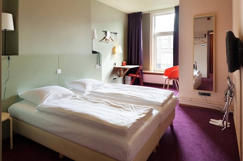 The Neighbour's Magnolia