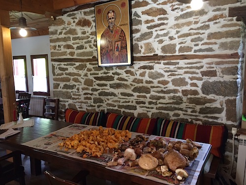 Wild mushrooms foraged from the surrounding forests on display in the tavern.