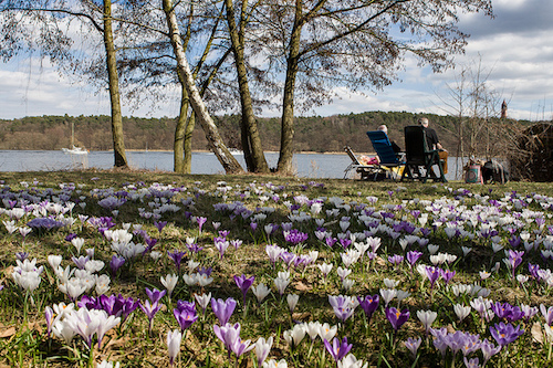 Spring brings beautiful flowers and festivals to Berlin. Photo: visitBerlin