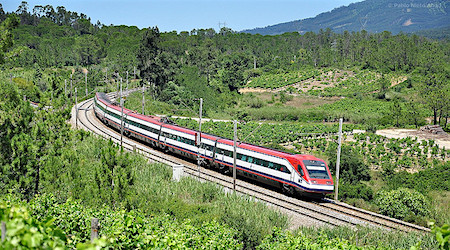 train driving through green landscape