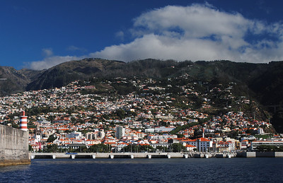 colorful buildings on coast of Funchal