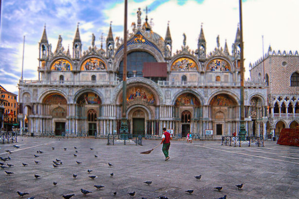 Piazza San Marco birds