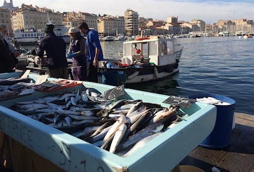 Fish Market in Marseille