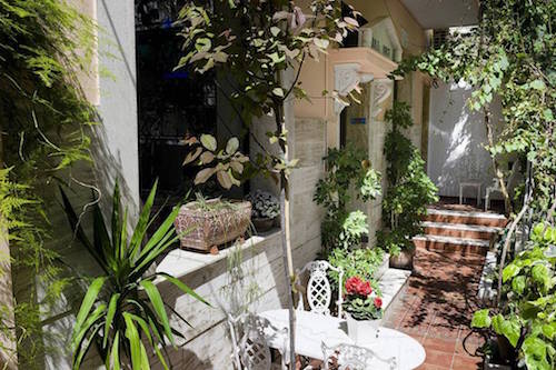 patio filled with plants