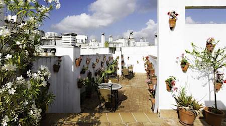 plant-covered walls on outdoor patio