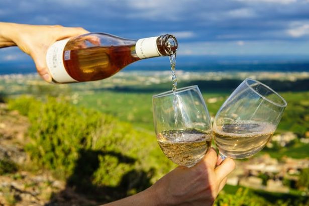 person pouring wine with vineyard in the background