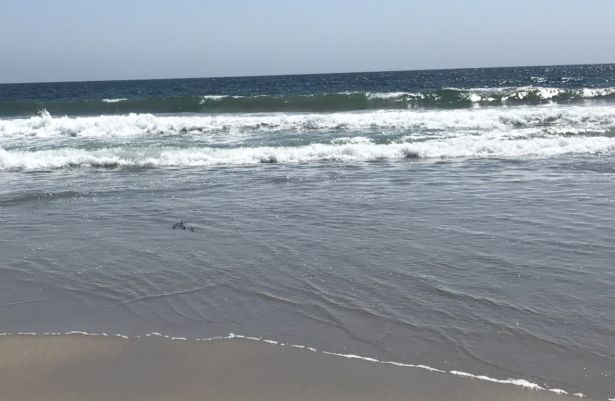 waves crashing on Zuma beach