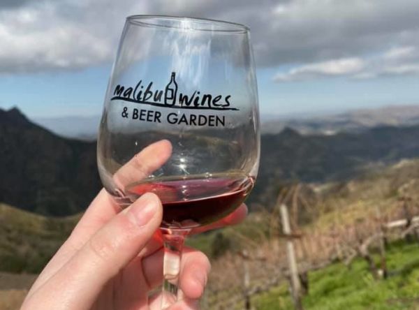person holding wine glass with mountain views in the distance