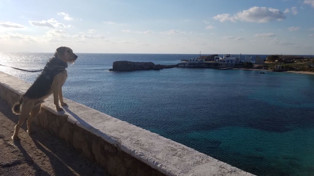 Lucky Laki in Lefkos