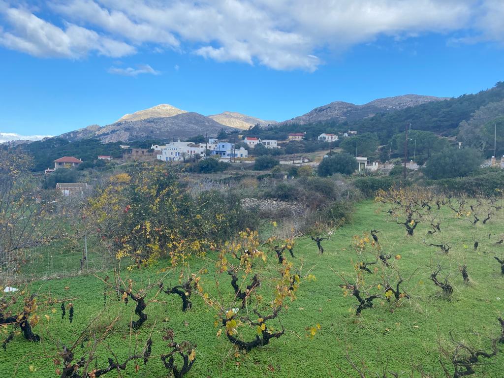 Stes (Photo Credit: Becca Durkee)