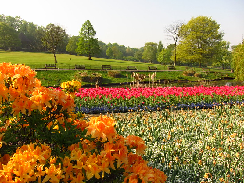 colorful flowers at botanical garden in Golders Hill Park, one of the lesser known London parks