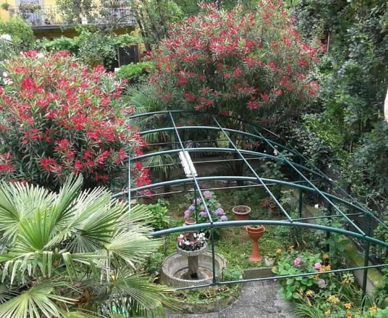 overhead view of a hotel garden at Hotel Malta, one of the best budget hotels in Milan