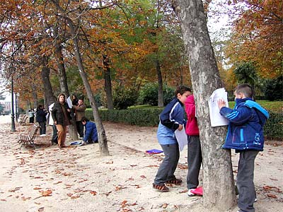 School children tracing tree bark along Paseo Parterre