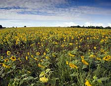 Florence Day Trips - Florence, Italy