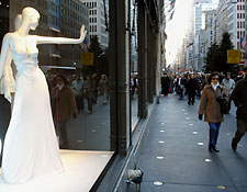 Expect to Spend: New York - New York, United States