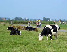 Amsterdam Day Trips - Amsterdam, Netherlands