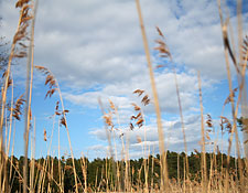 Stockholm Day Trips - Stockholm, Sweden