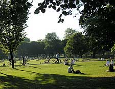 Reviewing Copenhagen - Copenhagen, Denmark