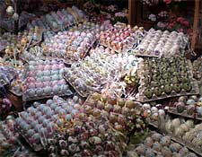 Getting Around Salzburg - Salzburg, Austria