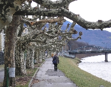 Salzburg Hotel Overview - Salzburg, Austria