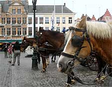 Getting Around Bruges - Bruges, Belgium