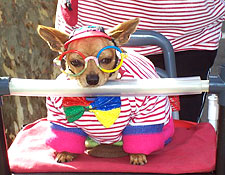 Barcelona: Top 10 Attractions - Barcelona, Spain