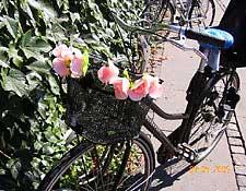 Getting Around Copenhagen - Copenhagen, Denmark