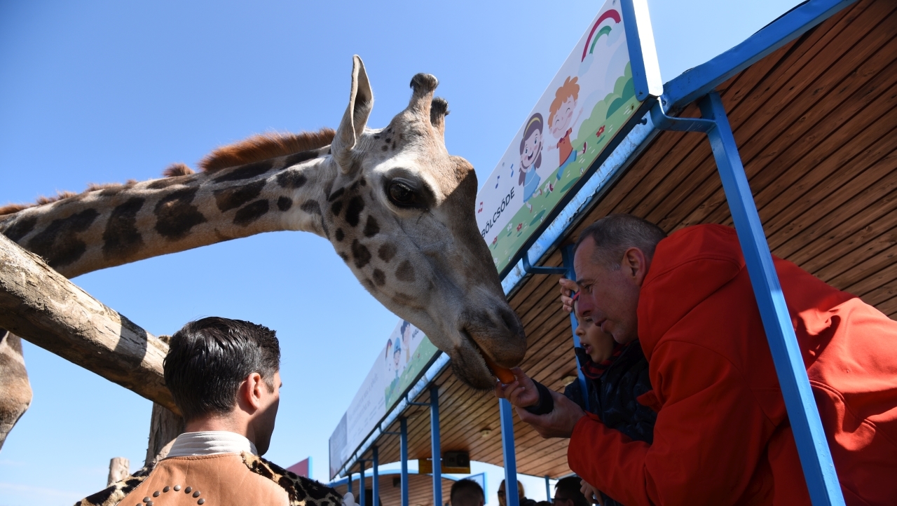 Megnyitott hazánk első és egyetlen autós szafariparkja